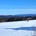 Haus Probst * 比斯科夫斯麦斯