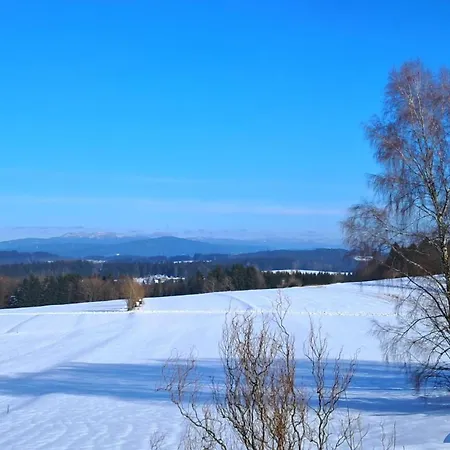 Haus Probst * Bischofsmais